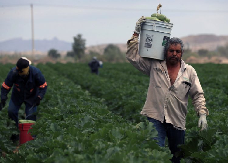 Agricultores cuestionan baja productividad y dependencia de importaciones