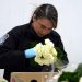 Importación de flores en Miami sube 6 % para San Valentín