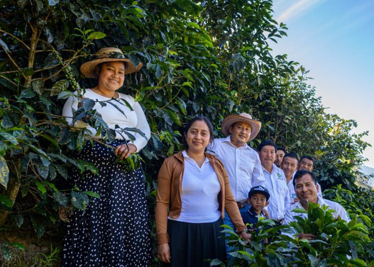 Sembrando Vida lleva productos de pueblos indígenas a BIOFACH y FRUIT logística 2026 en Alemania