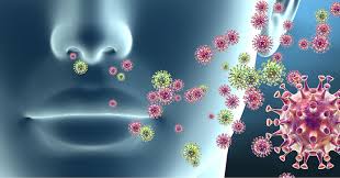 Ensayan vacuna vs virus respiratorios