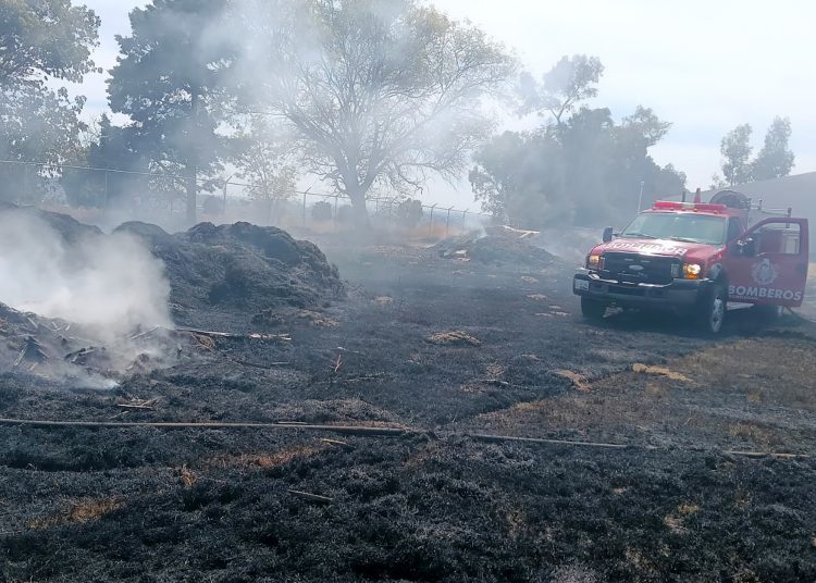 Sofocó bomberos de San Martin Texmelucan incendio de pastizal