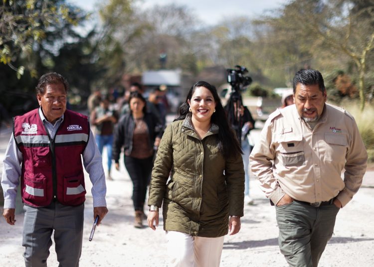 Entrega Tonantzin Fernández 270 árboles navideños naturales a Africam Safari