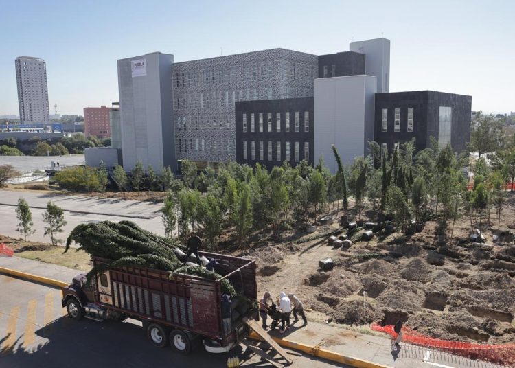 Inicia reforestación en CIS y parque ecológico