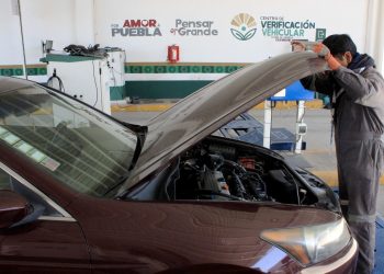 Fueron verificados más de 30 mil vehículos en enero
