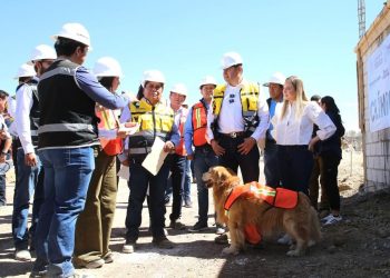 Célula de Bienestar Animal alcanza 38% de avance