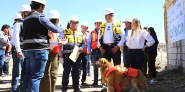 Célula de Bienestar Animal alcanza 38% de avance