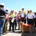 Célula de Bienestar Animal alcanza 38% de avance