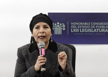 Reforestación y trasplante de árboles por construcción del Cablebús está garantizada