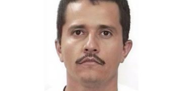 Más allá del individuo: la arquitectura criminal después de Oseguera