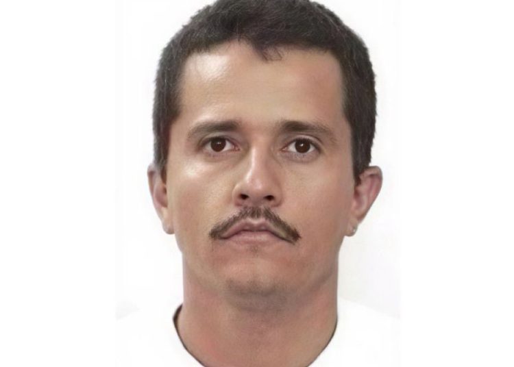 Más allá del individuo: la arquitectura criminal después de Oseguera
