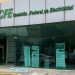 CFE cierra 2025 con beneficios récord de 139 millones de pesos