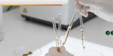 Investigadores BUAP estudian cannabinoides para tratar epilepsia