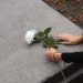 Burlar a la muerte