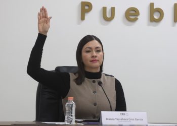 OPLES no desaparecerán con la reforma electoral presidencial