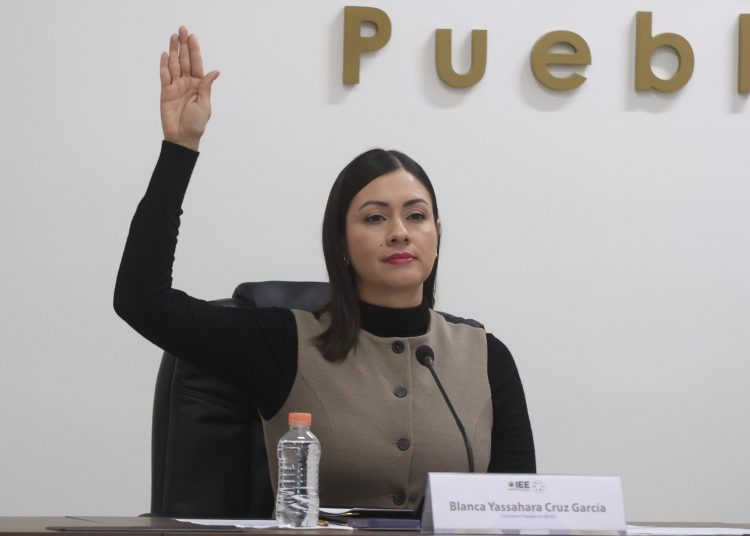 OPLES no desaparecerán con la reforma electoral presidencial