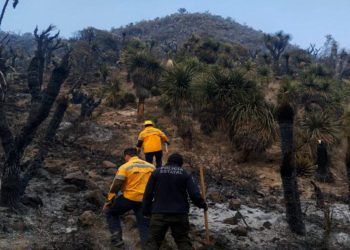 Coordinación interinstitucional fortalece combate a incendios forestales