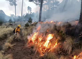 Mantiene Gobierno Estatal control de incendios forestales y protege ecosistemas