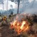 Mantiene Gobierno Estatal control de incendios forestales y protege ecosistemas