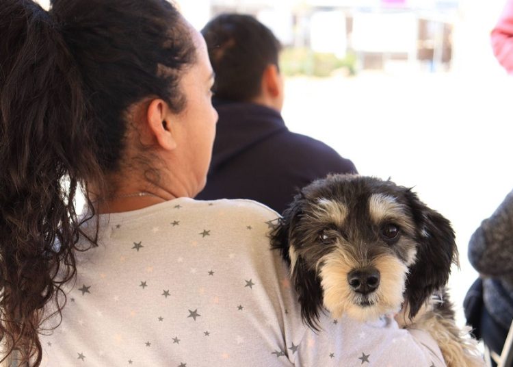 Llevan jornadas gratuitas de bienestar animal a colonias de Puebla