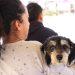 Llevan jornadas gratuitas de bienestar animal a colonias de Puebla