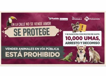 Refuerzan operativos contra venta de animales en vía pública