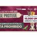 Refuerzan operativos contra venta de animales en vía pública