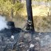 Intervención oportuna de bomberos evita mayores daños por incendios en Texmelucan