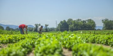 Productividad laboral creció 0.9% en el cuarto trimestre de 2025