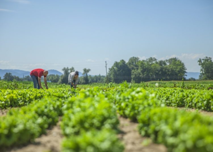 Productividad laboral creció 0.9% en el cuarto trimestre de 2025