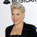 Pink cancela dos conciertos programados en Ciudad de México