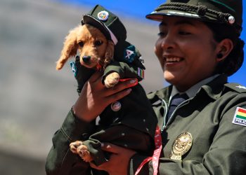 Pasarela Guau: un homenaje de la Policía de Bolivia