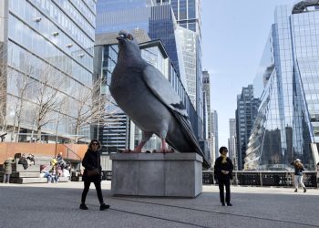 Nueva York despide a la paloma de 6 metros