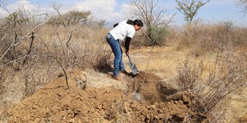 Promueve Puebla tecnificación del riego agrícola