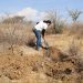 Promueve Puebla tecnificación del riego agrícola