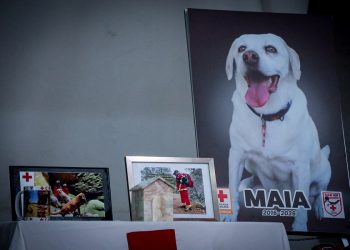 Cruz Roja Puebla despide a Maia, heroína del equipo K-9