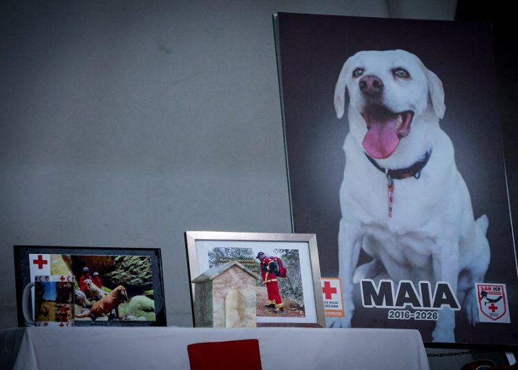 Cruz Roja Puebla despide a Maia, heroína del equipo K-9