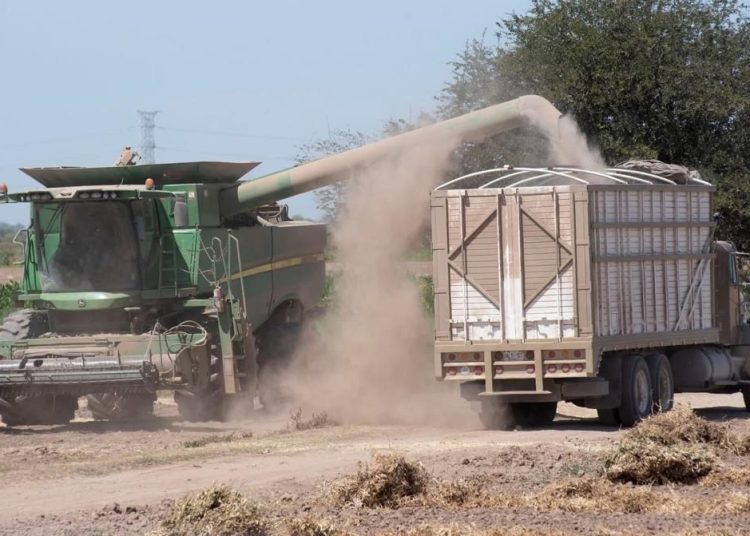 Combustible caro impacta al campo