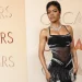 Red Carpet: Premios Oscar 2026