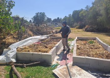 Impulsa Gobierno de Pepe Chedraui proyecto de lombricomposta en la capital