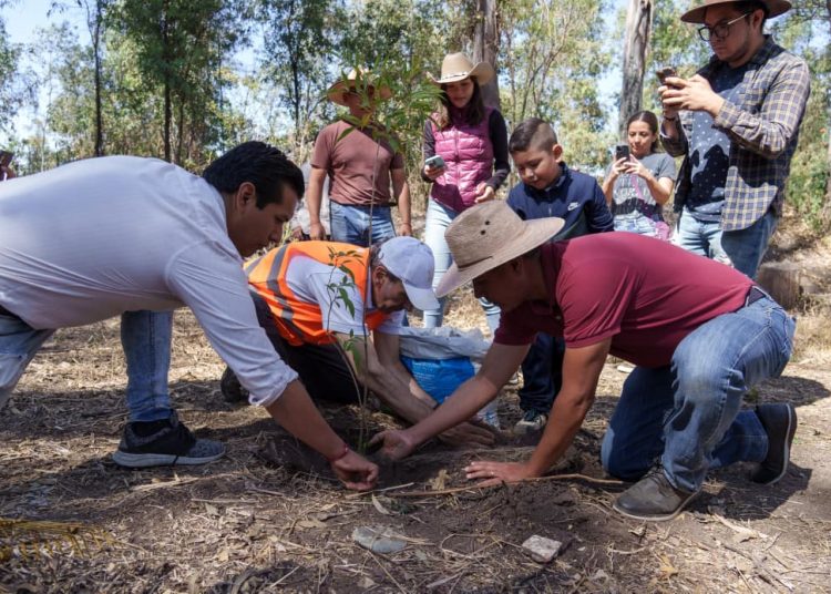 Refuerza gobierno de Pepe Chedraui acciones de reforestación en la capital poblana