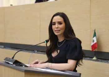 Piden partidos más estrictos en selección de candidatos para elevar nivel de gobierno