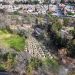 Árboles del bosque urbano generarán agua, oxígeno y albergarán vida