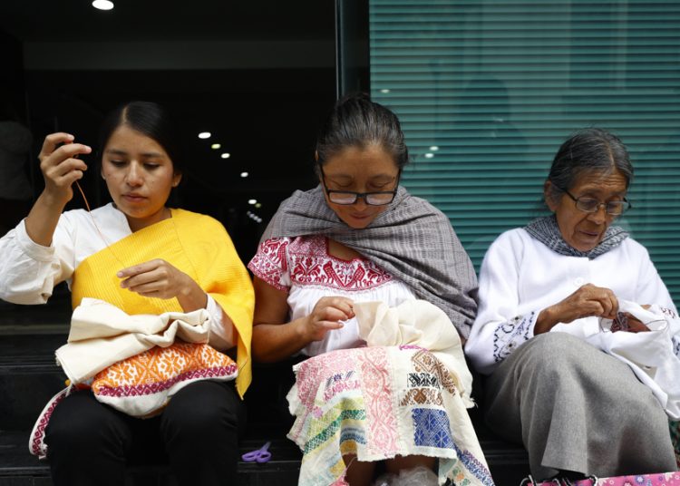 Mujeres indígenas y afromexicanas «Cuidar es resistir»