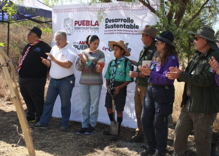 Gobierno de Puebla, fundaciones y población reforestan Parque Bicentenario