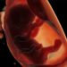 Consumir alimentos ultraprocesados afecta a la fertilidad humana