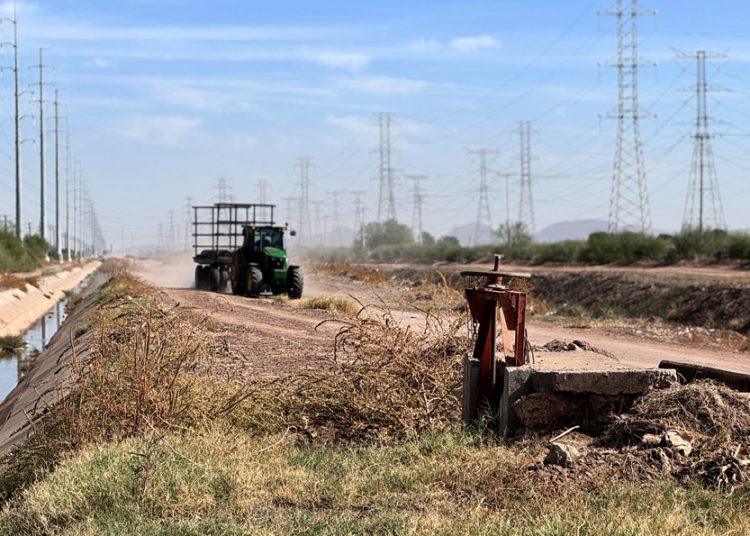 Fondo agropecuario destina 389 mdd al campo mexicano