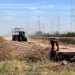 Fondo agropecuario destina 389 mdd al campo mexicano