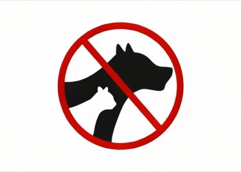 Proponen sancionar a quienes nieguen el acceso a personas con animales de servicio