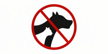 Proponen sancionar a quienes nieguen el acceso a personas con animales de servicio