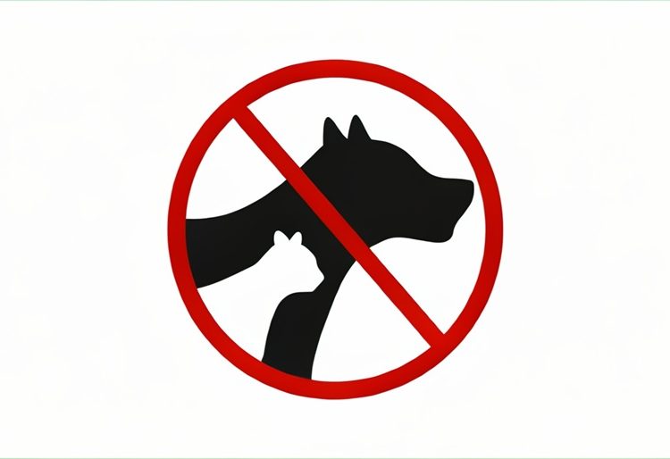 Proponen sancionar a quienes nieguen el acceso a personas con animales de servicio